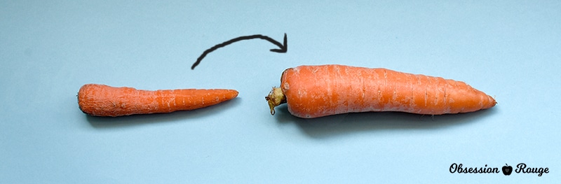 Penis size in carrots